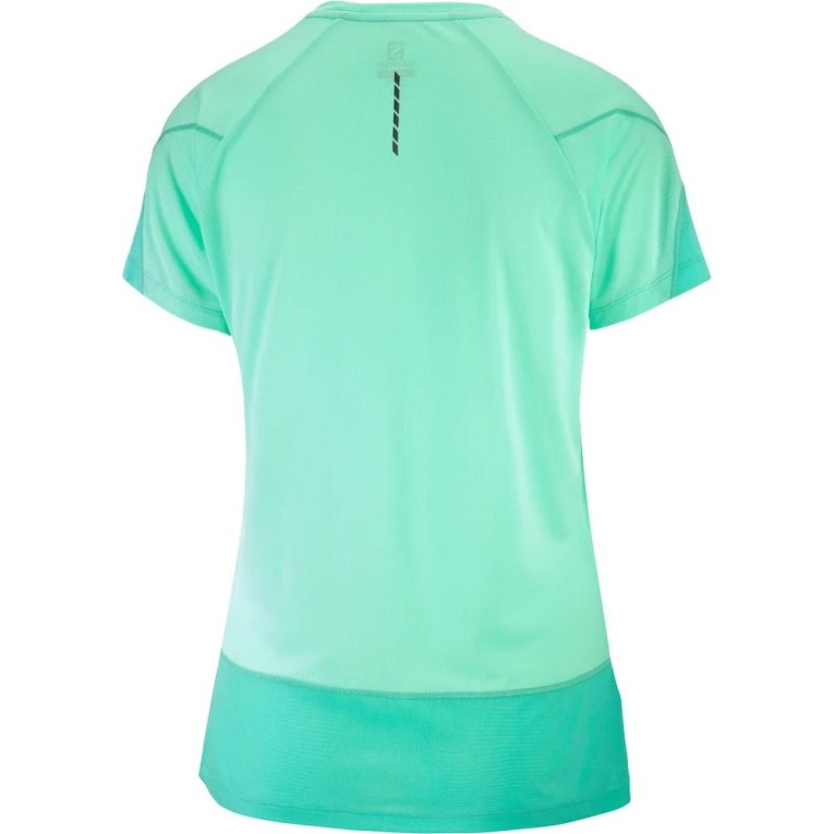 Camiseta Salomon Cross Run Curta Sleeve Feminino Turquesa | PT F79105